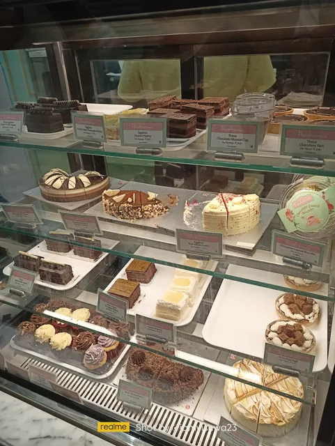 Theobroma