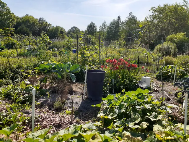 UF Organic Gardens Cooperative
