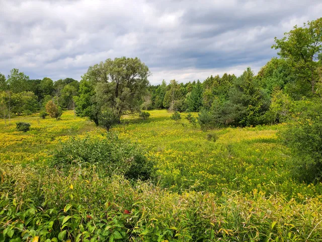 Upper Rouge Trail Park