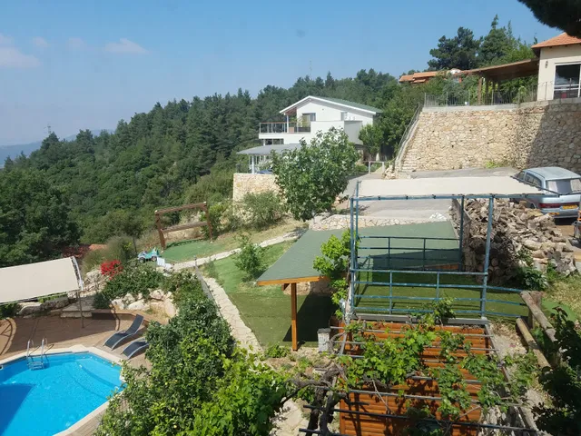 לוין נוף מרהיב