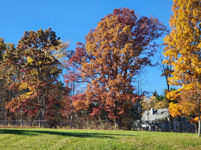 Digital Dome Theater