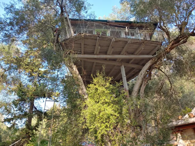 Margaritis Treehouse