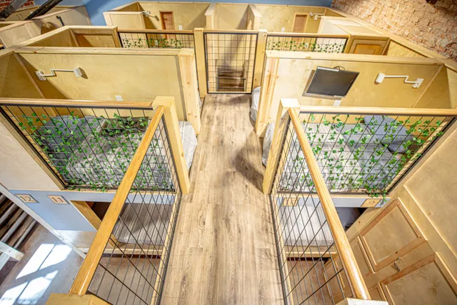 Social Stays - Luxury Hostel