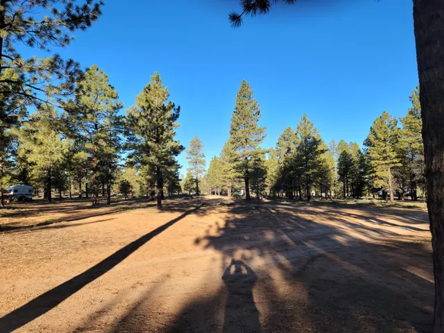 Dixie National Forest Dispersed Camping Area