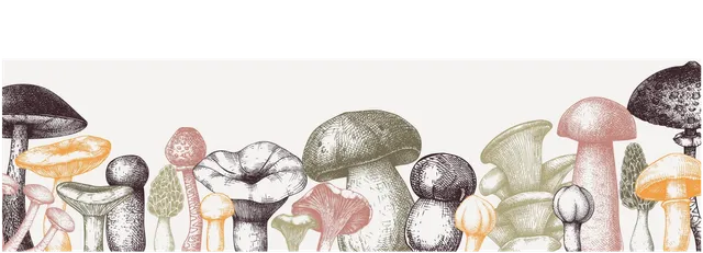 FUNGI FAMILY FARM