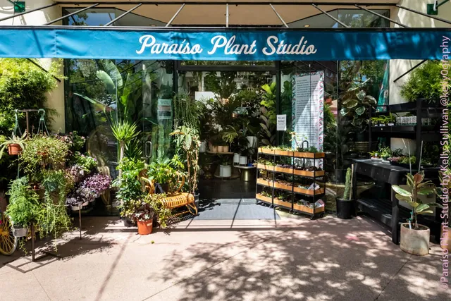 Paraíso Plant Studio