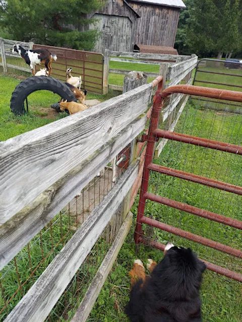 Emerald Glen Getaway