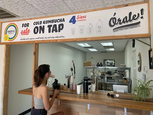 Wunder Pilz Kombucha