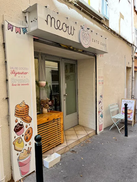 Meow Cats Café - Cats & Coffee (+10 ans uniquement)