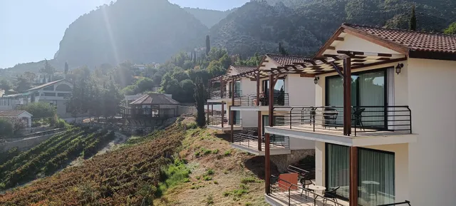 Gillham Vineyard Hotel