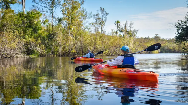 Everglades Adventures Kayak & Eco Tours