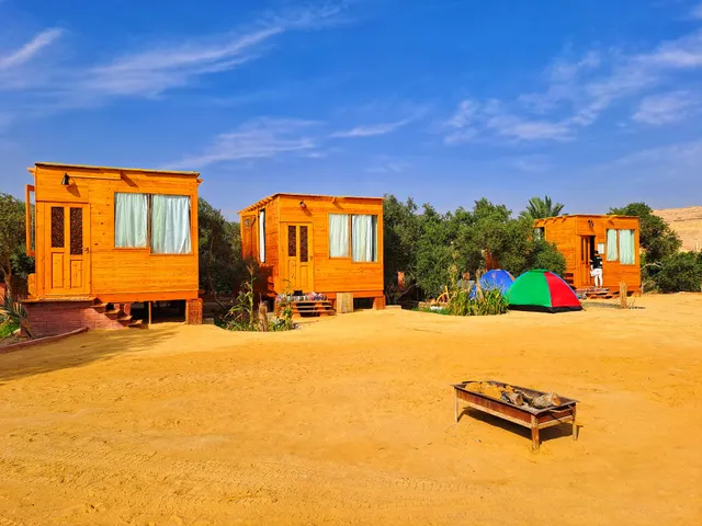 Mangrove Camp Fayoum