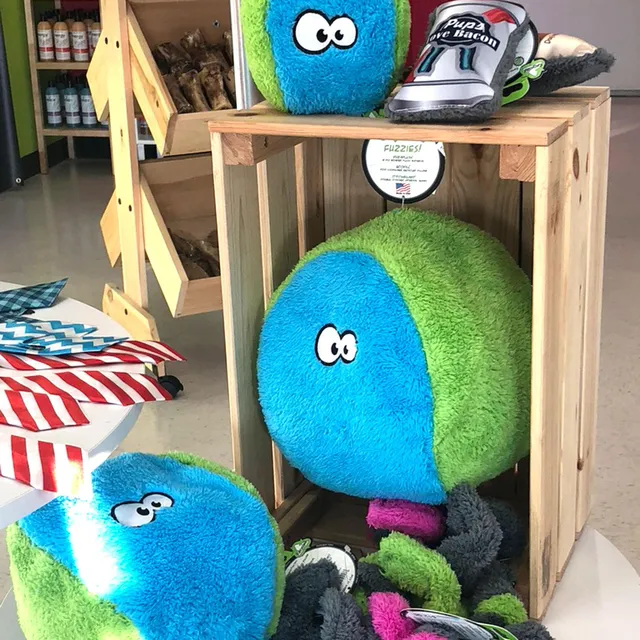 Splash and Dash Groomerie & Boutique