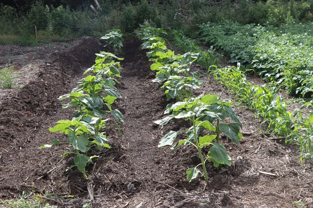La Ferme de Monrepos