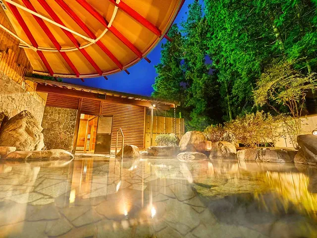 Oedo Onsen Gero Annex