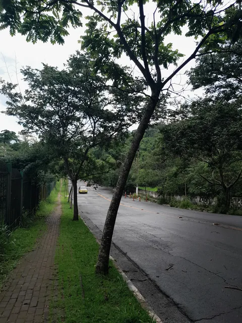 PARQUE MUNICIPAL HORTO DO IPÊ -