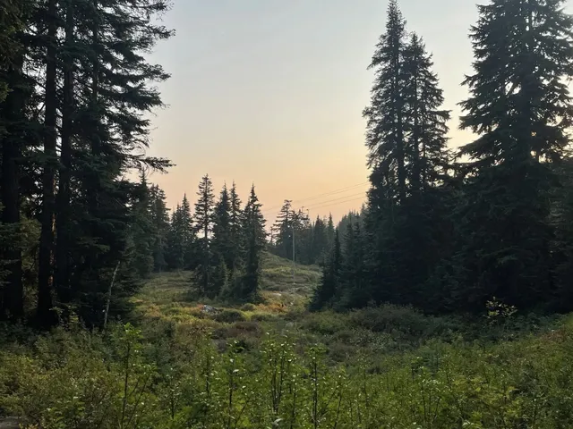 Seymour Mountain Mystery Lake Trail
