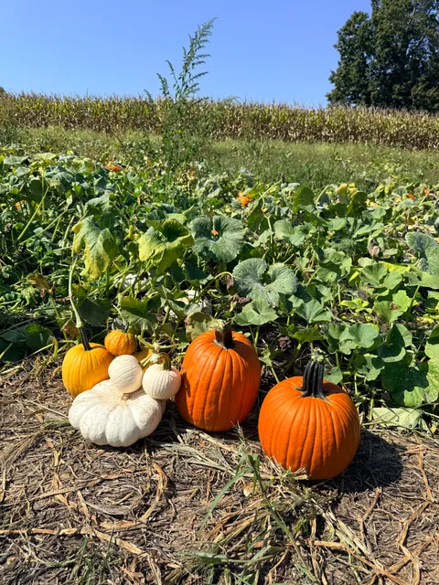 Bowling Family Farms