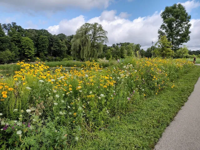 White Pine Trail - Access Point