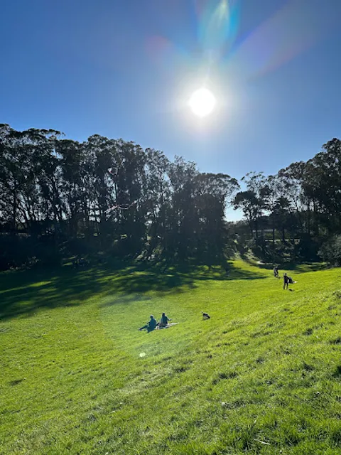 Lindley Meadow Picnic Area