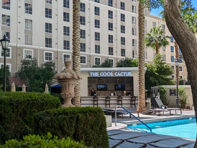 The Cool Cactus