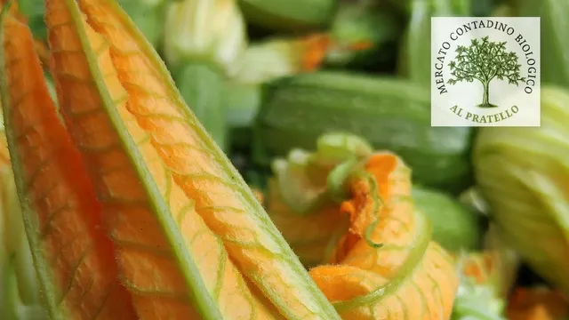 CampiAperti al Pratello - Mercato Contadino Biologico