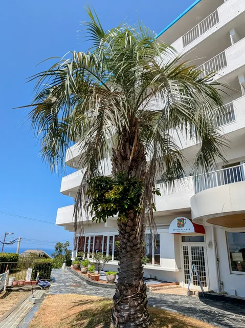 のんびれっじ白浜