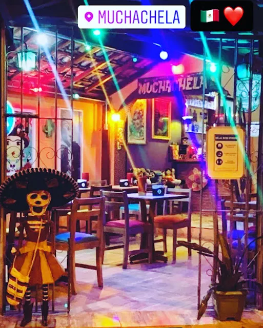 Muchachela