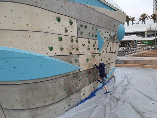 Scarborough Rock Climbing Wall