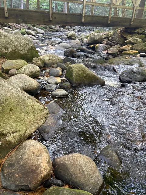 Willard Brook State Forest