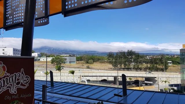 La Focaccia di Martino