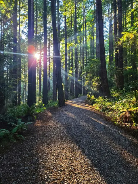Rohner Park Hiking Trails