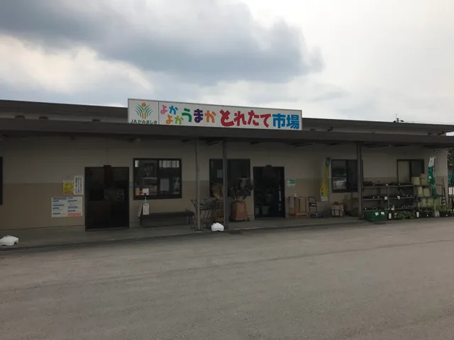 Yokayoka umaka toretateichiba Mashiki