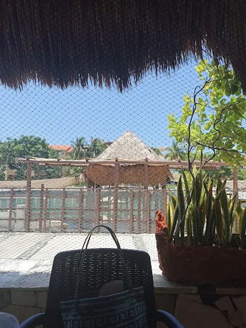 Palapa Manati