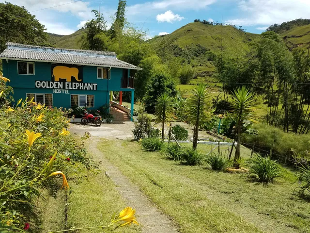 Golden Elephant Hostel