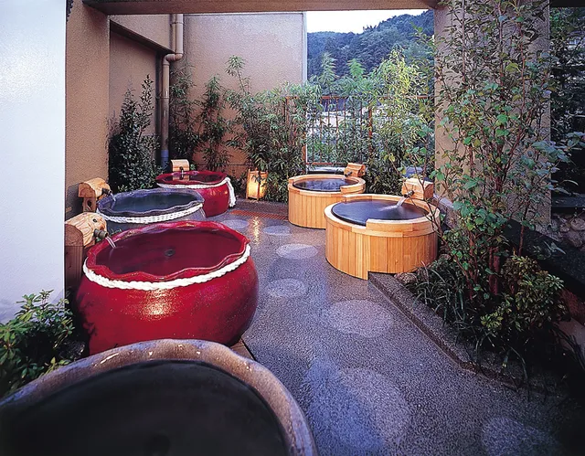 下呂温泉 下呂ロイヤルホテル雅亭 Gero Royal Hotel Miyabitei