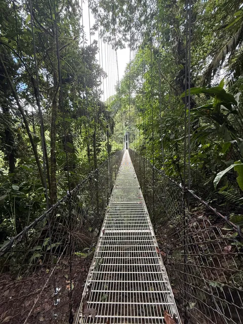 Green Vacation Travel Agency