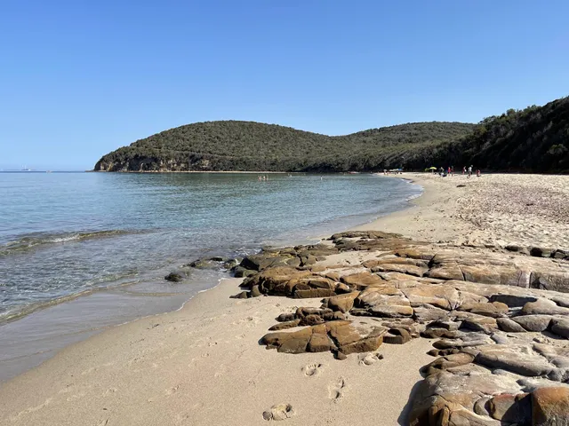 Cala Violina Scarlino