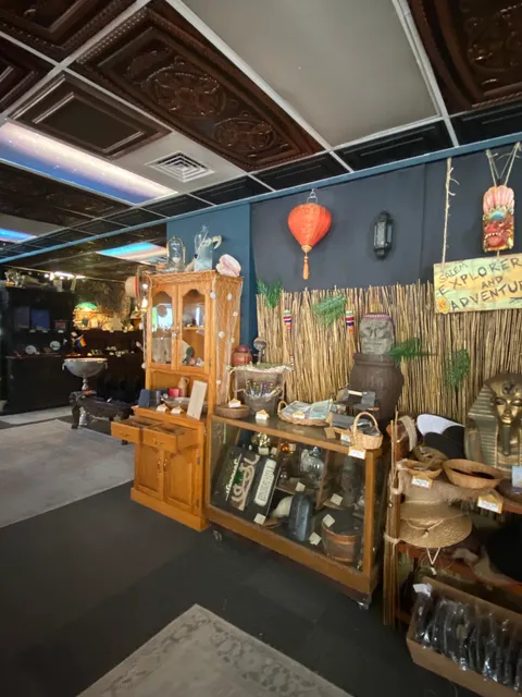 Black Cat Curiosity Shoppe