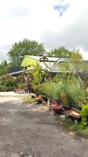 Joshua's Native Plants & Garden