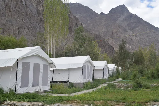 Weeping Willow Nubra