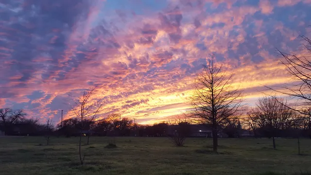 Patterson Park - Playground