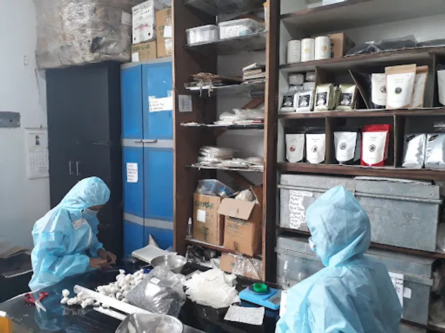 Camellia Twigs - Tea Store in Delhi