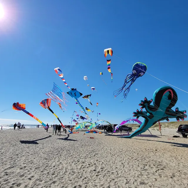 Cape Fear Kite Festival