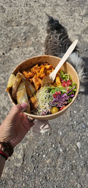 Vegan Food Truck Tenerife