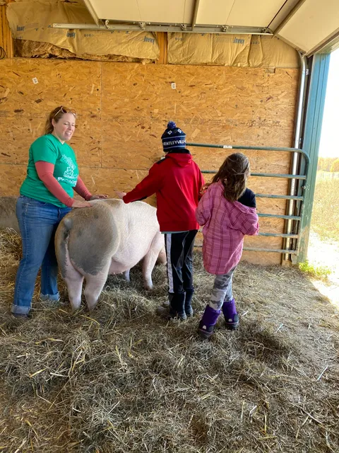 Chisago Lake Township