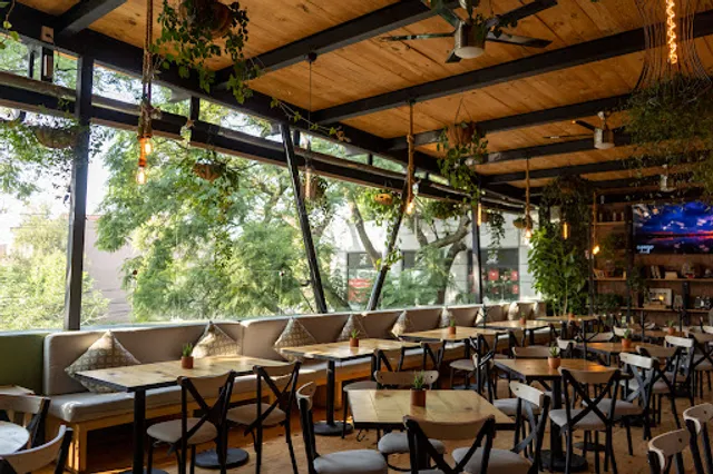 Apego, balcón del sur