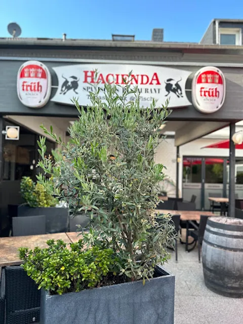 Restaurant Hacienda