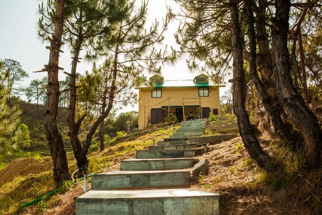 Musafir Cottage, Palampur