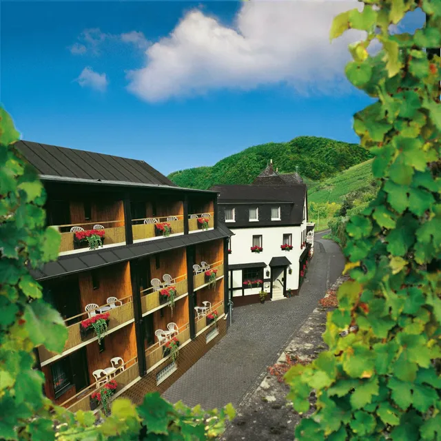 Moselstern Hotel Zum guten Onkel